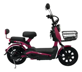Bicicleta El�trica 1000w Dx Bike Scooter Aro16