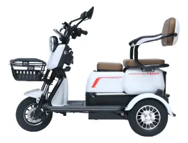 Triciclo El�trico 1000 W F�nix Promo��o 