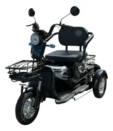 Triciclo El�trico 1000 W