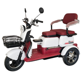 Triciclo El�trico big tri 1000W